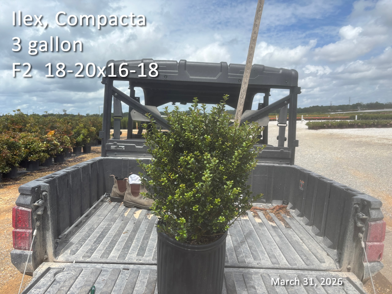 gallery/comp3 f2 mar31.jpg